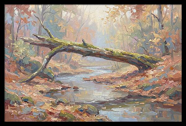 Fallen Log Bridge Over Stream
