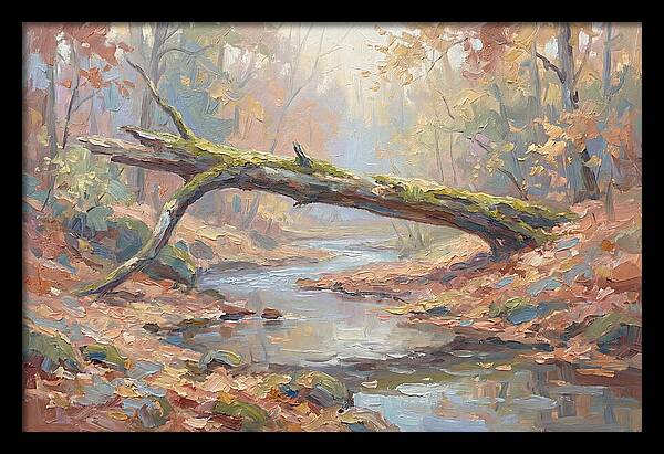 Fallen Log Bridge Over Stream