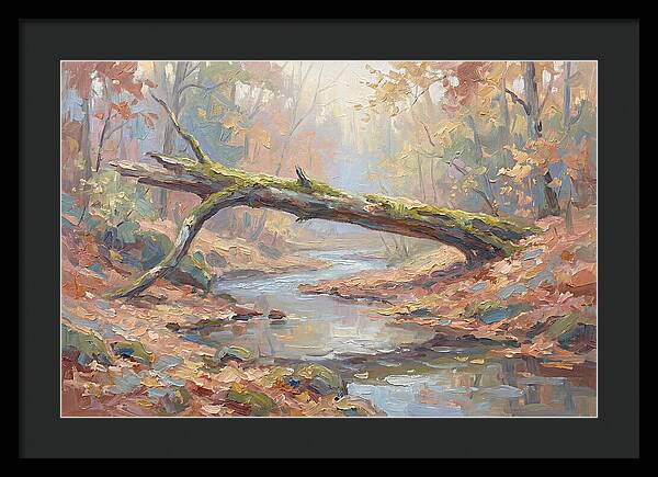 Fallen Log Bridge Over Stream
