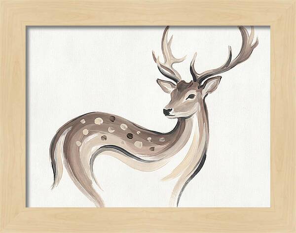 Fallow Deer Elegance