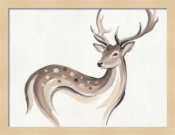 Fallow Deer Elegance