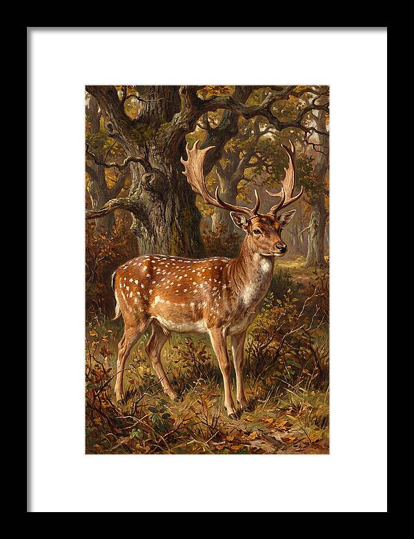 Fallow Deer In Autumn Forest