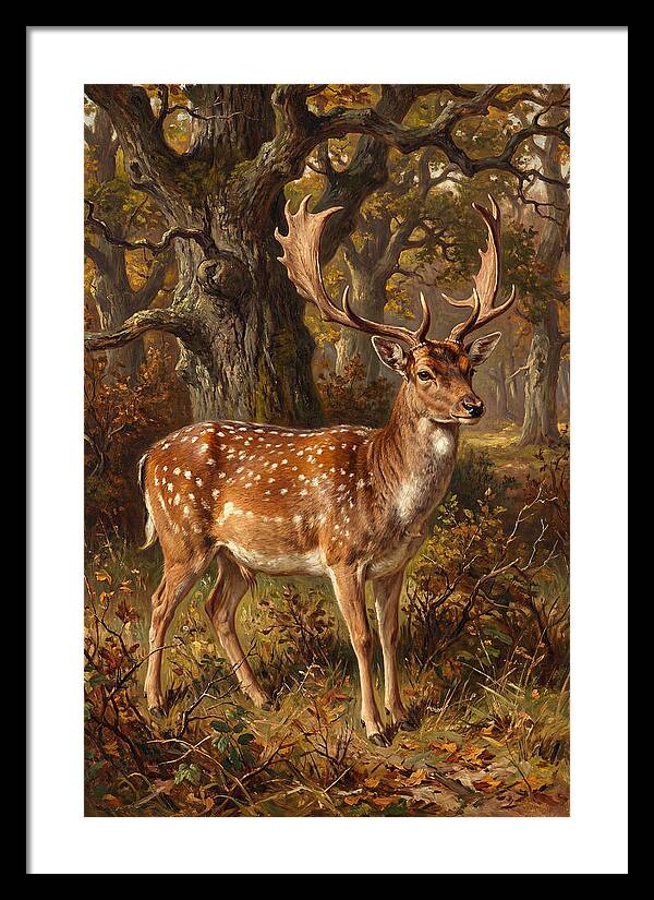 Fallow Deer In Autumn Forest