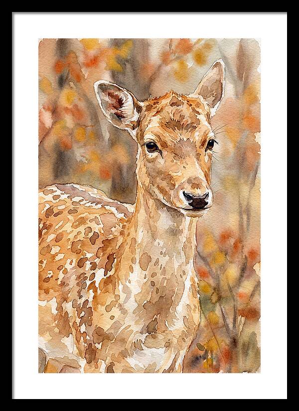 Fallow Deer In Autumn Hues
