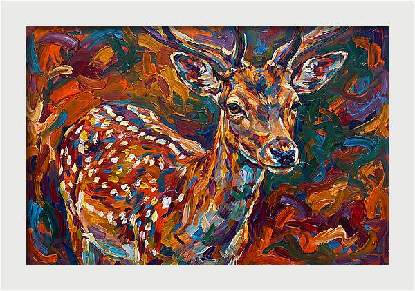 Fallow Deer In Vibrant Colors