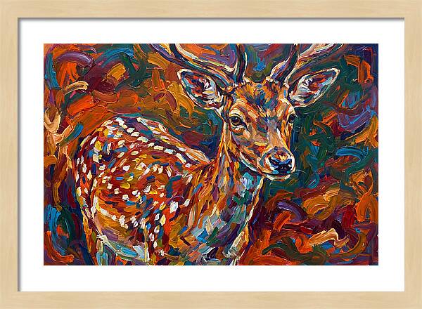 Fallow Deer In Vibrant Colors