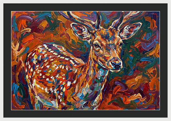 Fallow Deer In Vibrant Colors