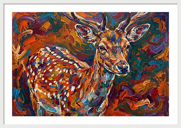 Fallow Deer In Vibrant Colors