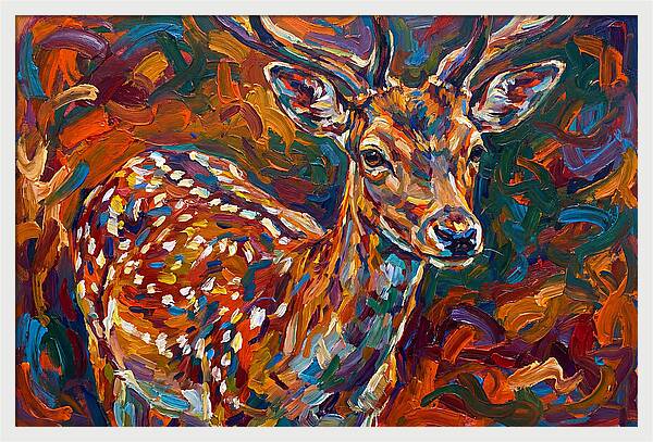Fallow Deer In Vibrant Colors
