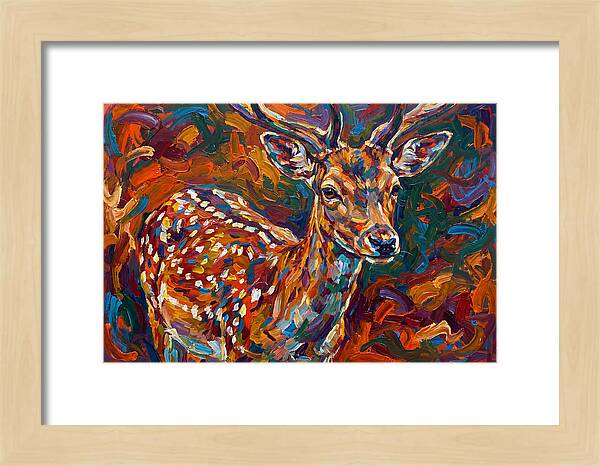 Fallow Deer In Vibrant Colors