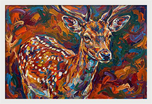 Fallow Deer In Vibrant Colors