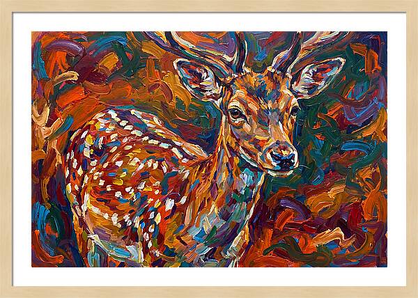 Fallow Deer In Vibrant Colors