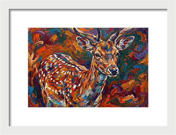 Fallow Deer In Vibrant Colors