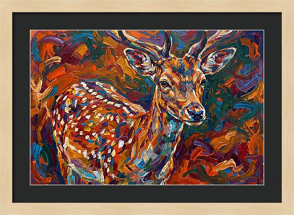 Fallow Deer In Vibrant Colors