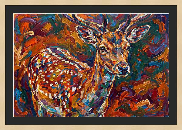 Fallow Deer In Vibrant Colors