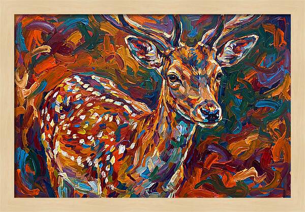 Fallow Deer In Vibrant Colors