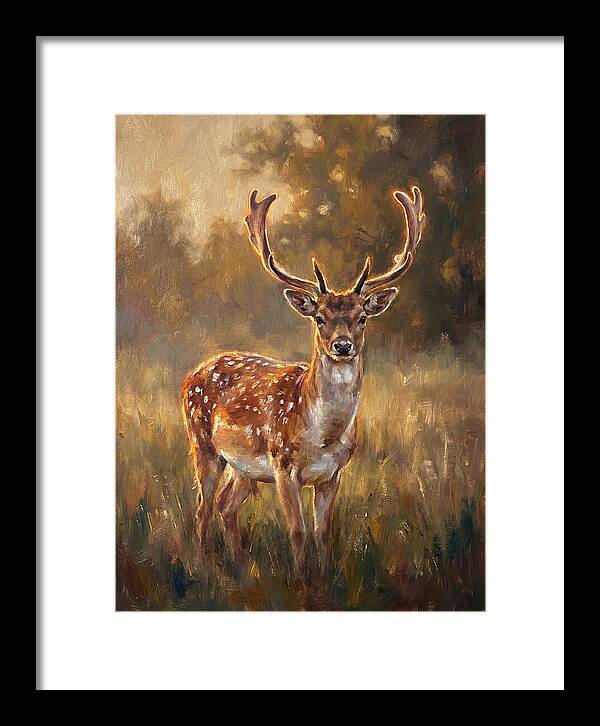 Fallow Deer Portrait