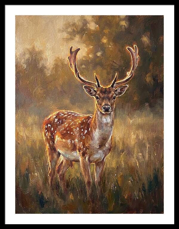 Fallow Deer Portrait