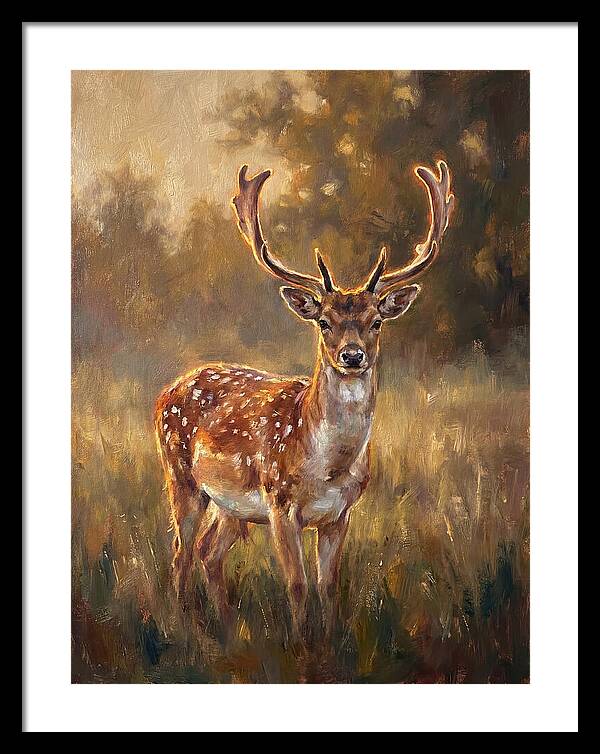 Fallow Deer Portrait