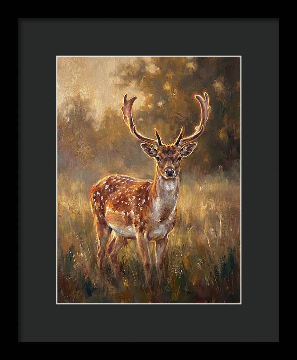 Fallow Deer Portrait
