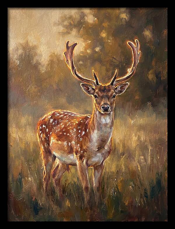 Fallow Deer Portrait