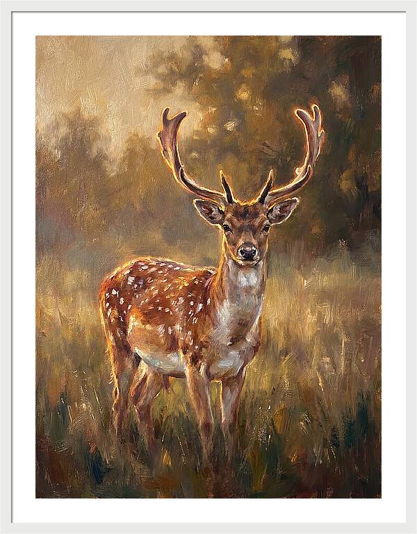 Fallow Deer Portrait