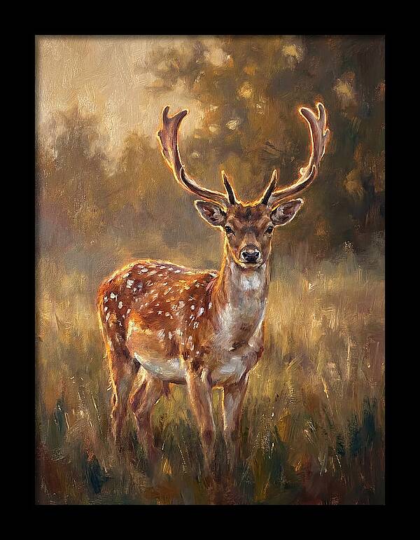 Fallow Deer Portrait