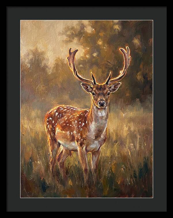 Fallow Deer Portrait