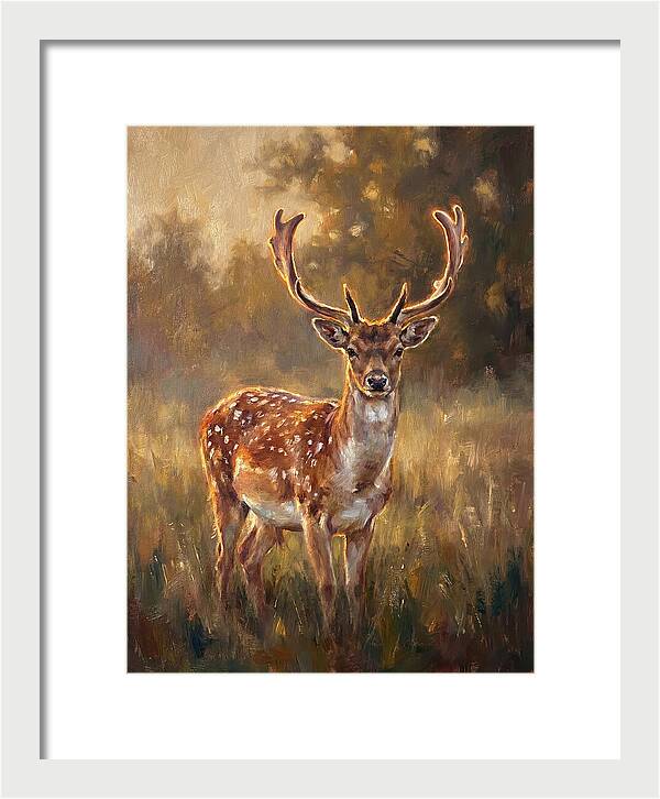 Fallow Deer Portrait