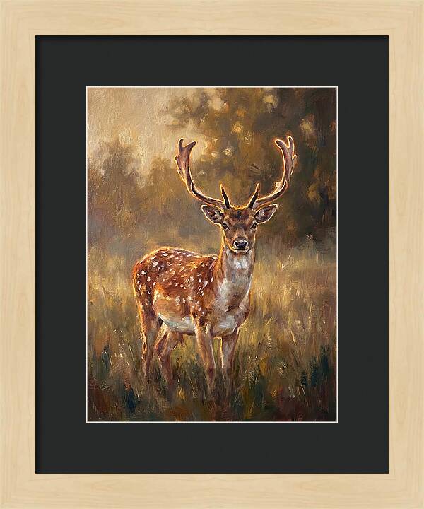Fallow Deer Portrait