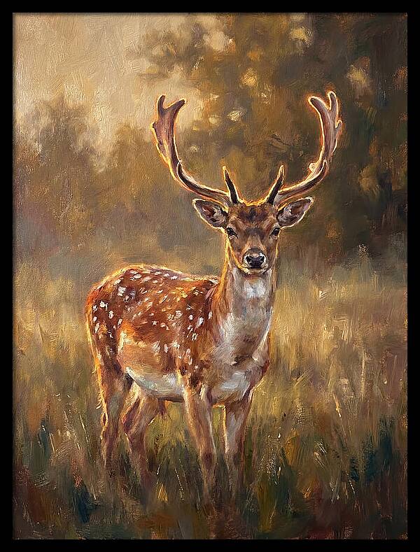 Fallow Deer Portrait