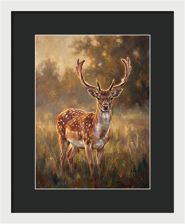 Fallow Deer Portrait