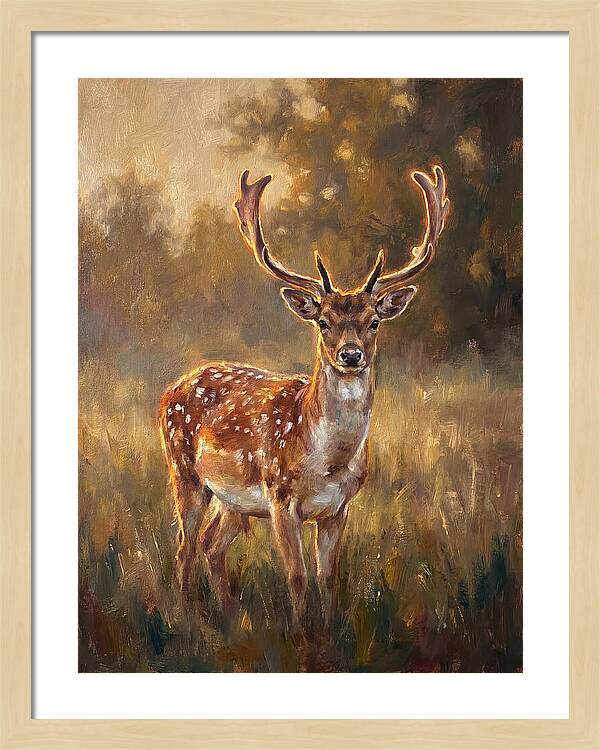 Fallow Deer Portrait