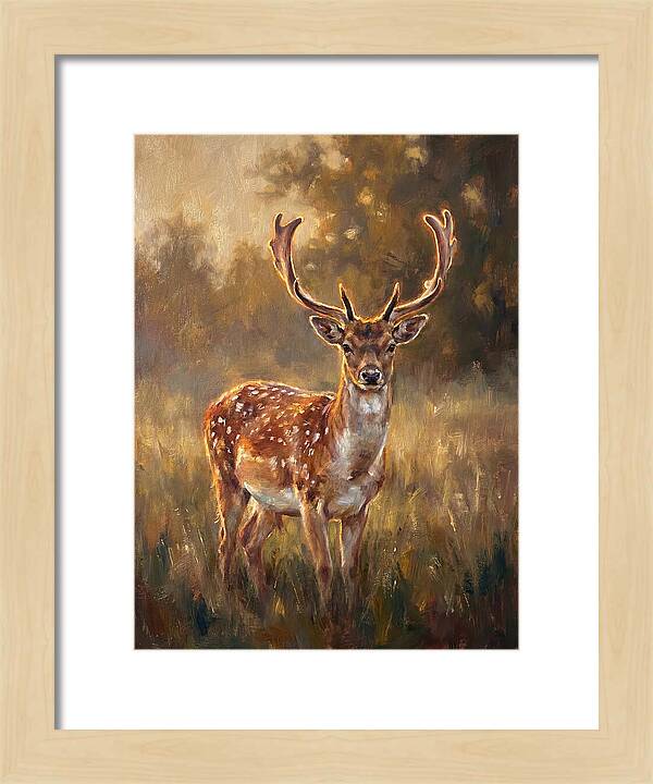 Fallow Deer Portrait