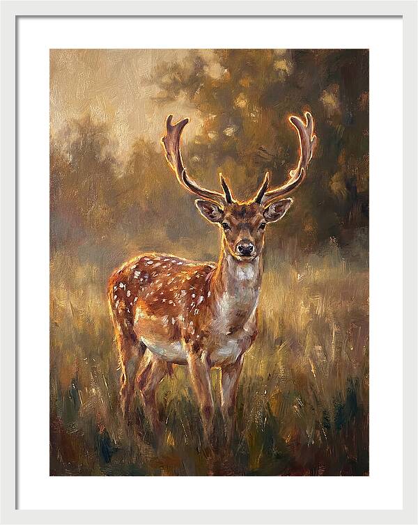 Fallow Deer Portrait