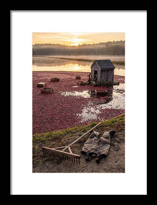 Farm Cranberry Bog Serenity