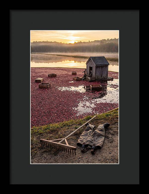 Farm Cranberry Bog Serenity