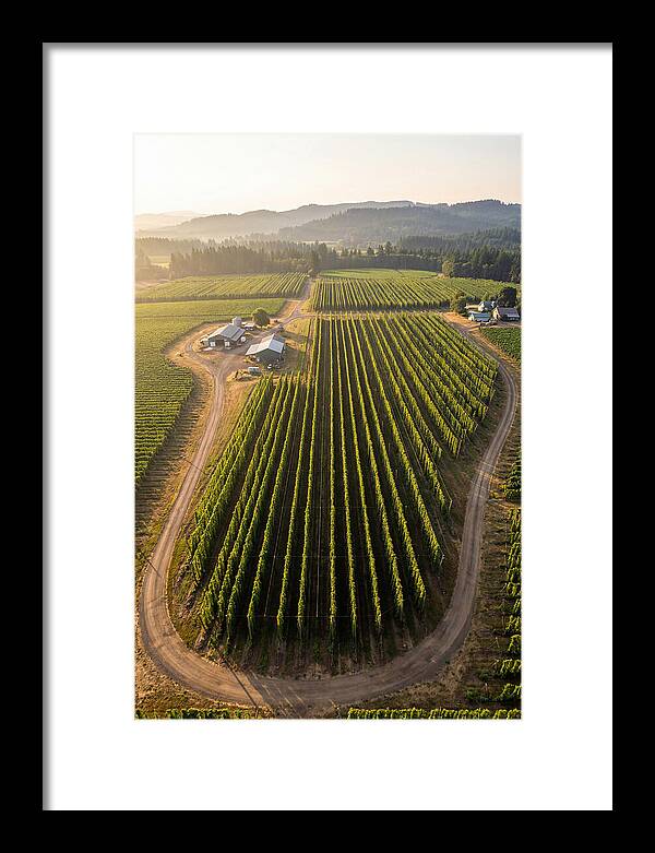 Farm Fields In Oregon