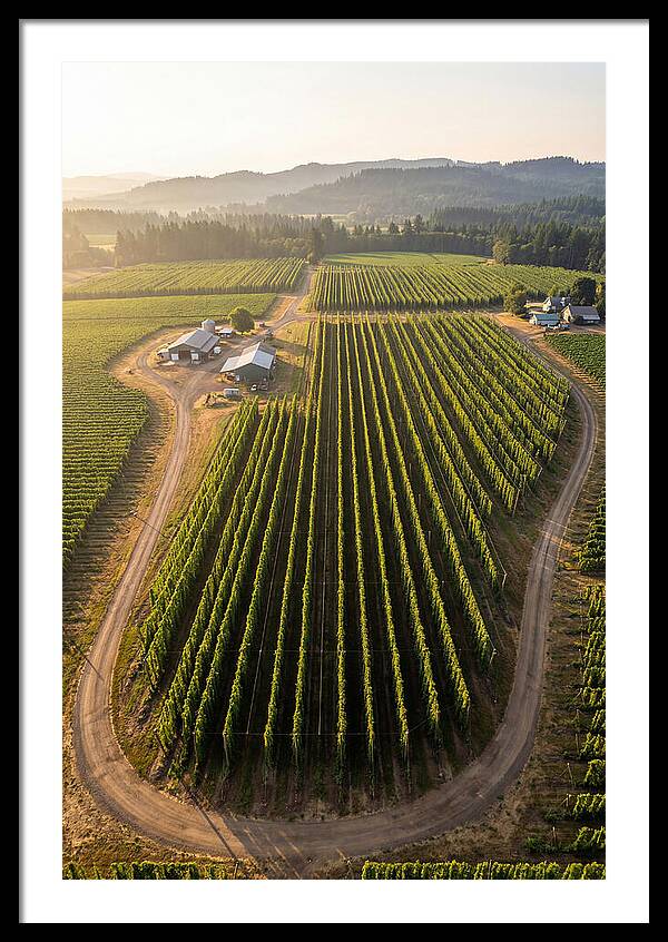 Farm Fields In Oregon