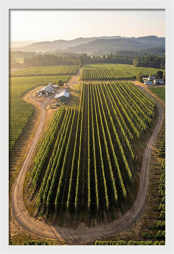 Farm Fields In Oregon