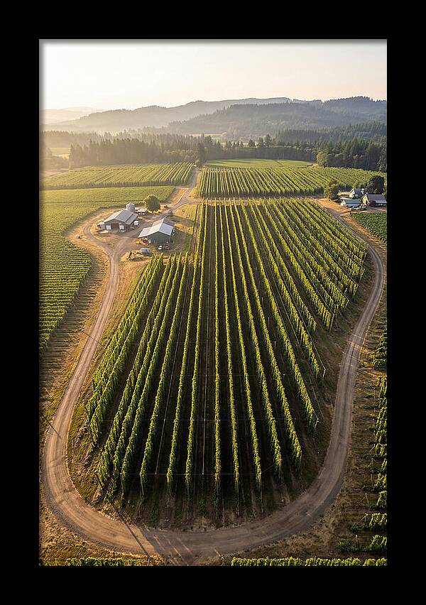 Farm Fields In Oregon