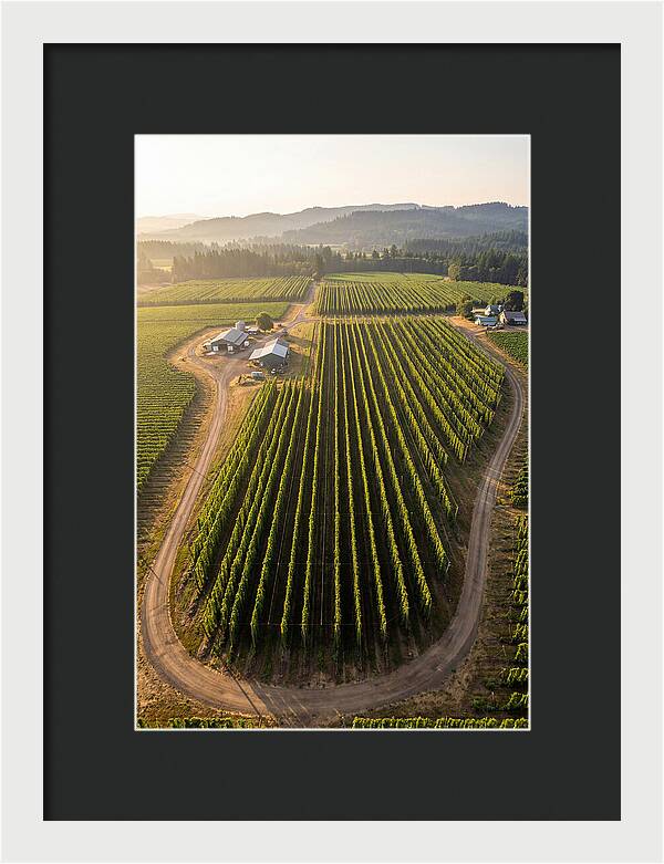 Farm Fields In Oregon