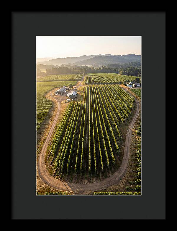 Farm Fields In Oregon
