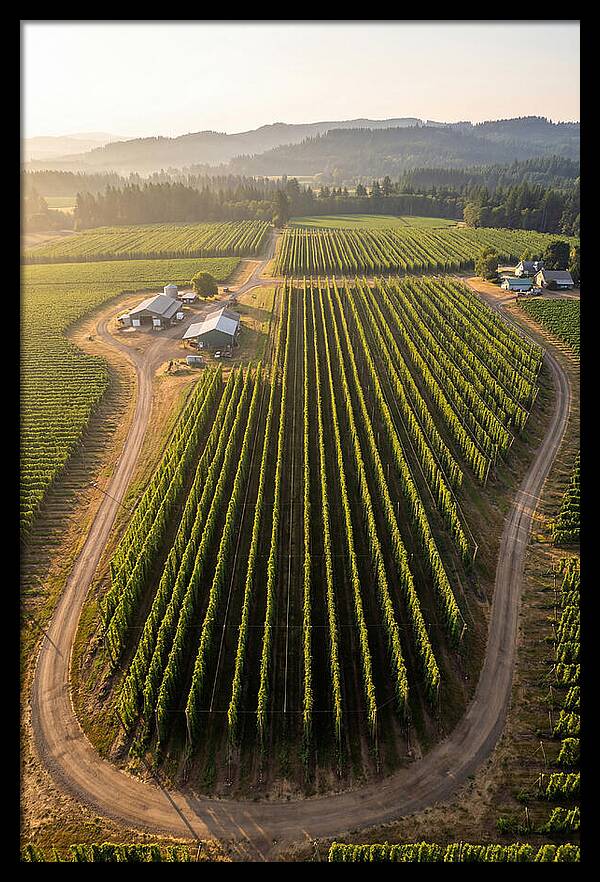 Farm Fields In Oregon