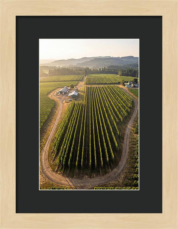 Farm Fields In Oregon