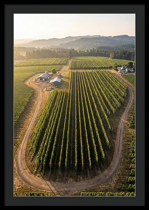 Farm Fields In Oregon