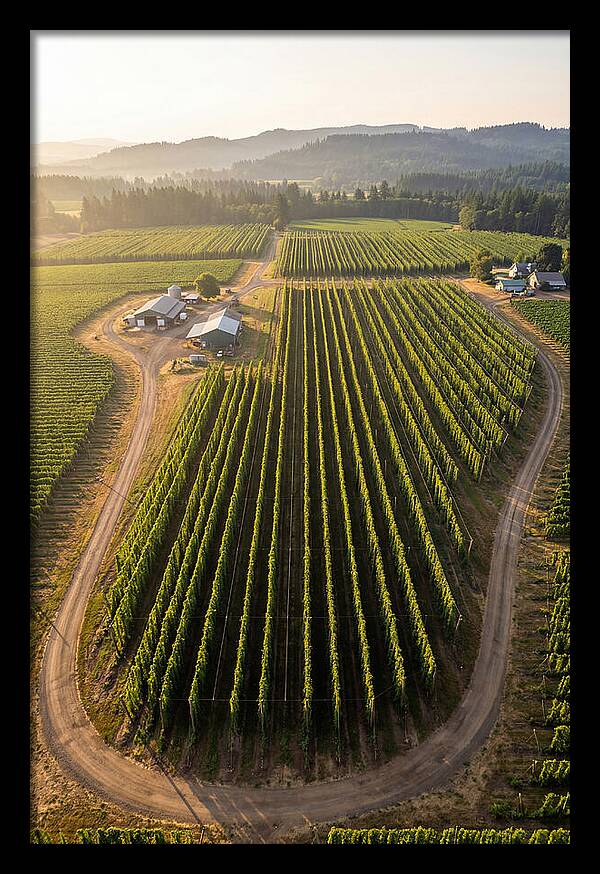 Farm Fields In Oregon