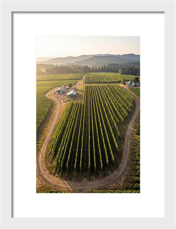 Farm Fields In Oregon