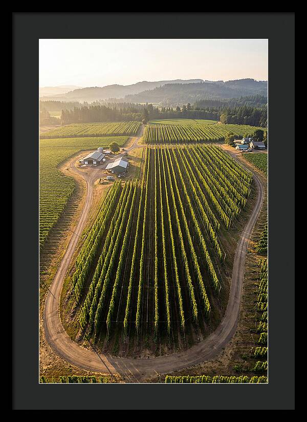 Farm Fields In Oregon