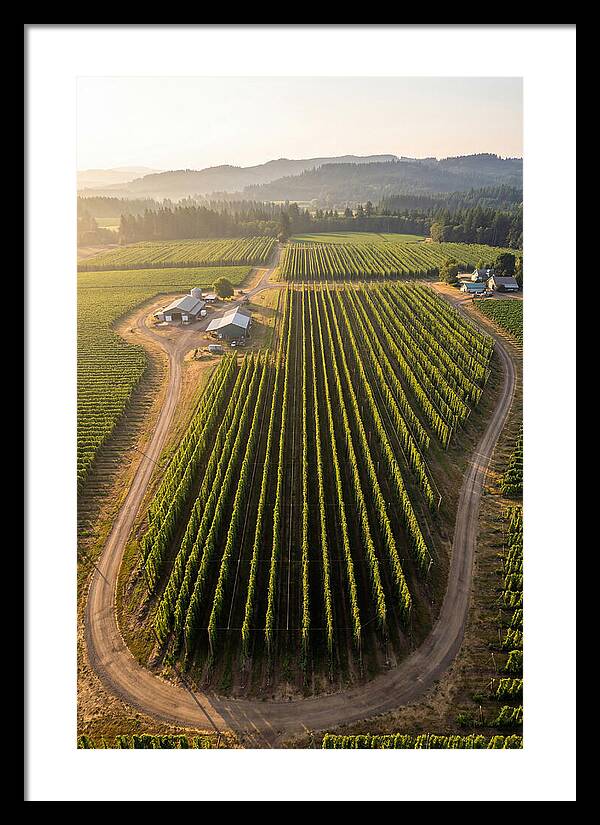 Farm Fields In Oregon